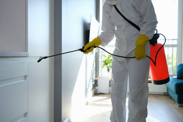 Best Office Mold Removal Services  in Bowie, TX