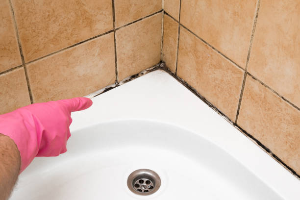 Best Mold Cleaning Services  in Bowie, TX